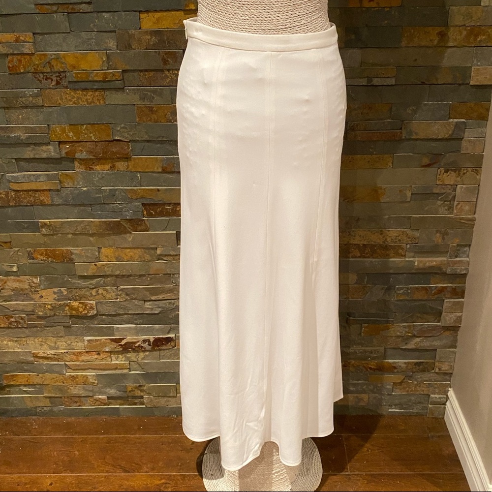 Theyskens Theory Sialo White Skirt (Various Sizes) NWT - Picture 3 of 10